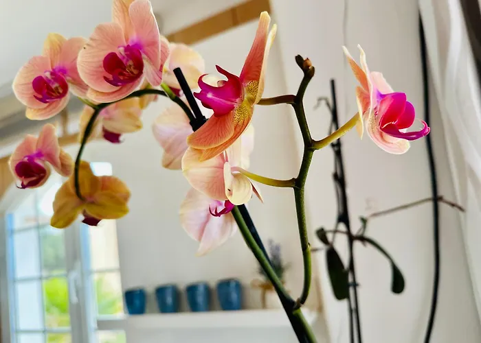 Vista Mar * La Pared (Las Palmas)