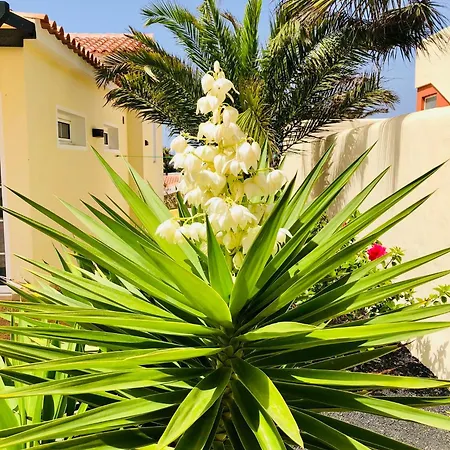 Vista Mar لا باريد