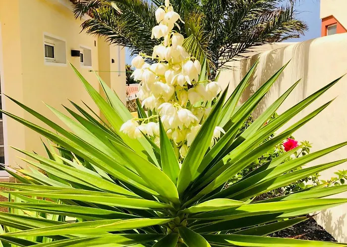 Vista Mar لا باريد